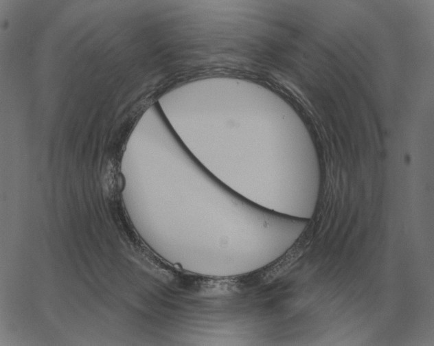 X0000065260077200603031839