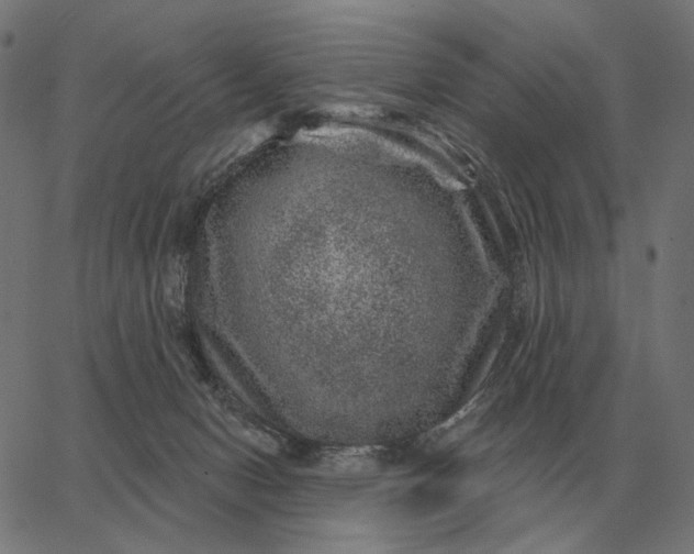 X0000065260078200603031839