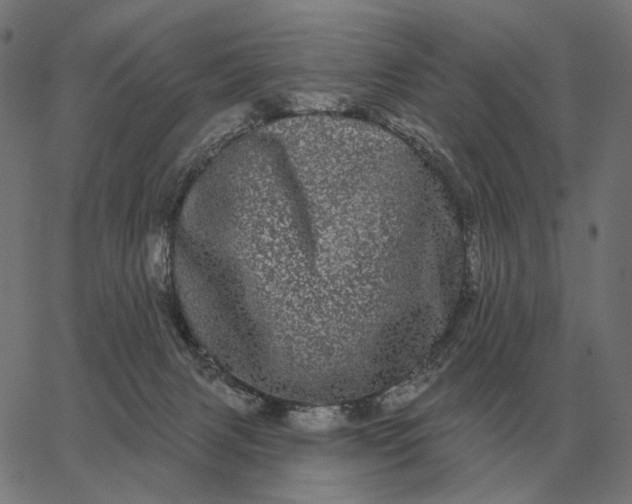 X0000065260079200603031839