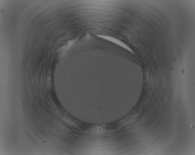 X0000065260080200603031839