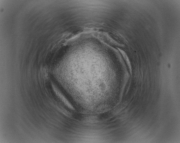 X0000065260081200603031839