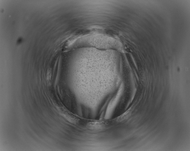 X0000065260082200603031839