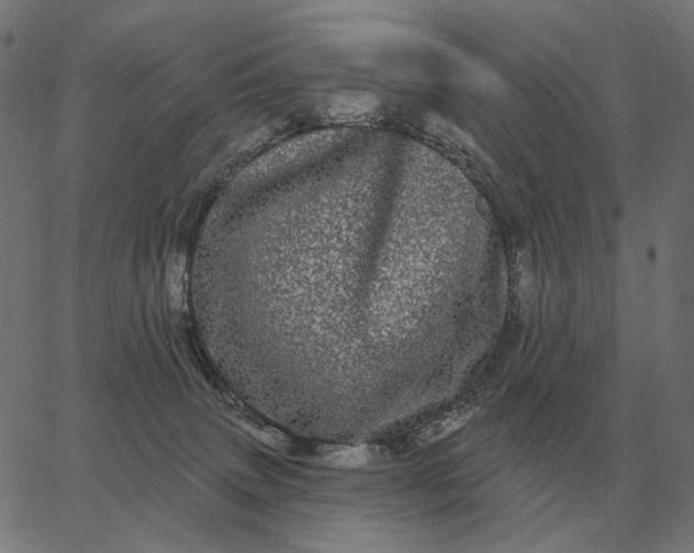 X0000065260083200603031839