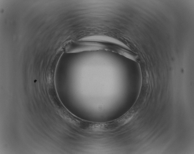 X0000065260084200603031839