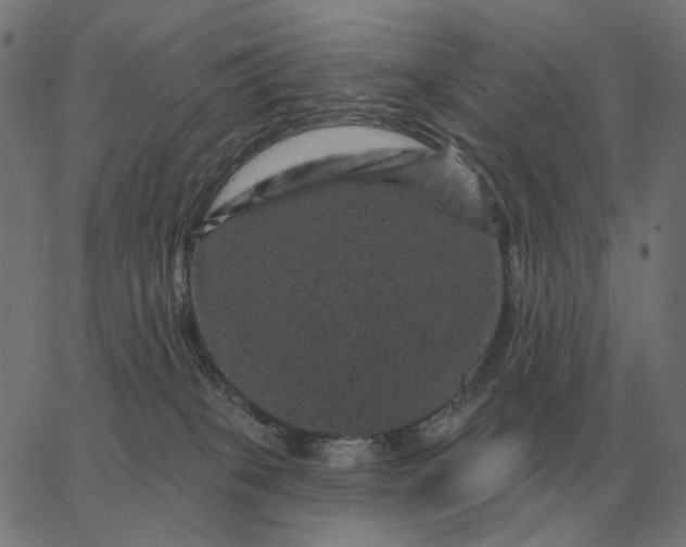 X0000065260085200603031839