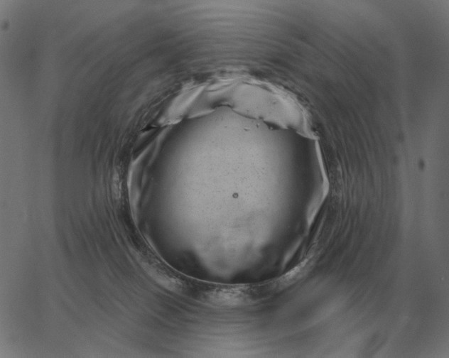 X0000065260086200603031839