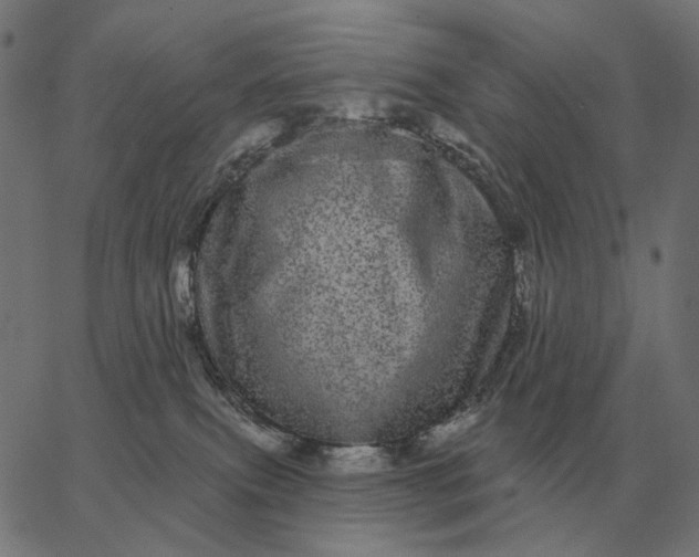 X0000065260087200603031839