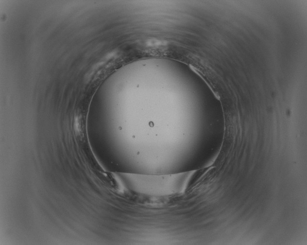 X0000065260088200603031839