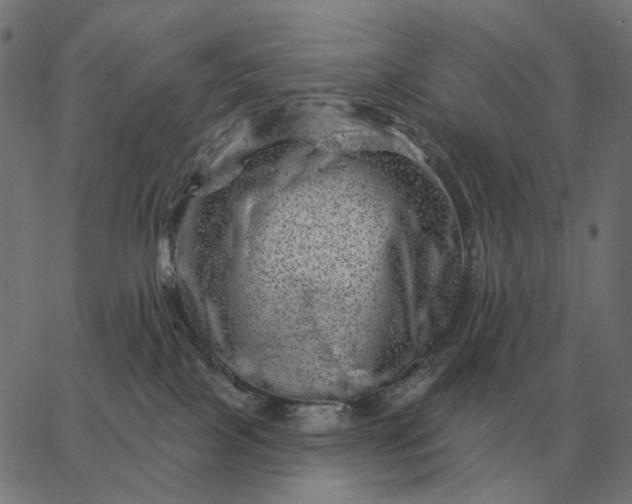 X0000065260089200603031839