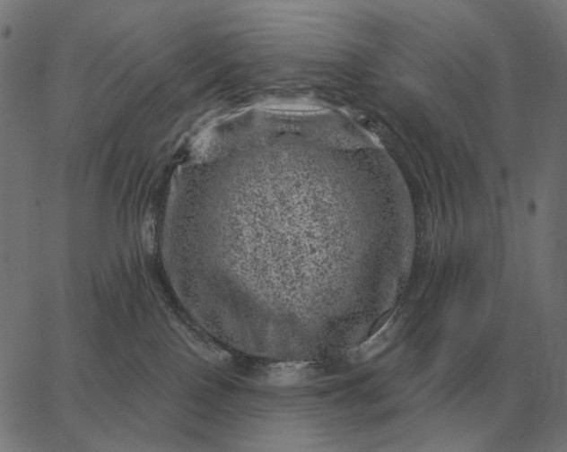 X0000065260090200603031839