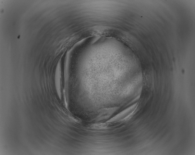 X0000065260094200603031839