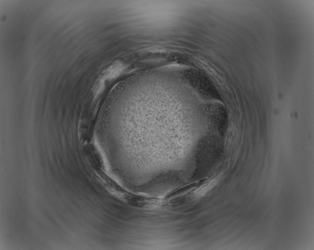 X0000065260096200603031839