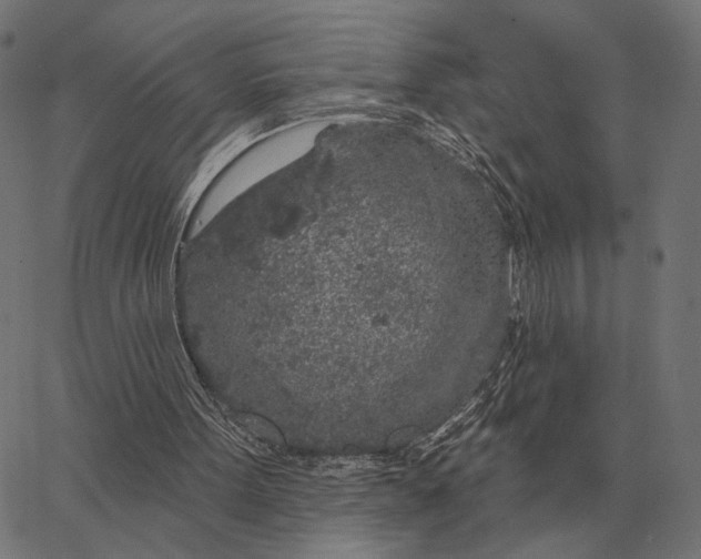 X0000065260099200603031839