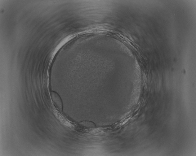 X0000065260100200603031839