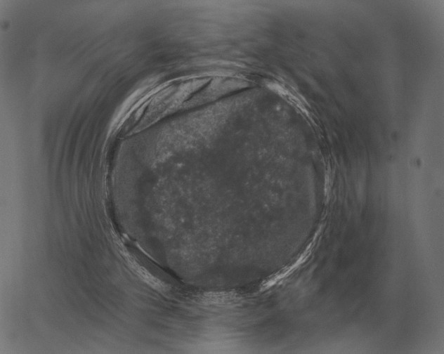 X0000065260101200603031839