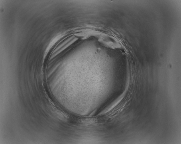 X0000065260102200603031839