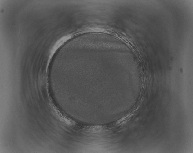 X0000065260104200603031839