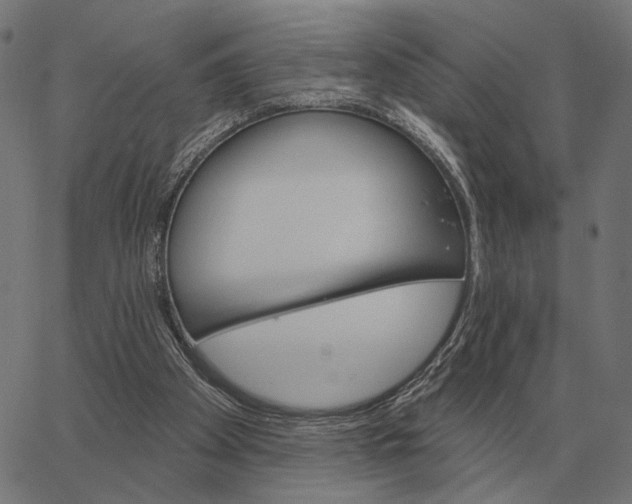 X0000065260105200603031839