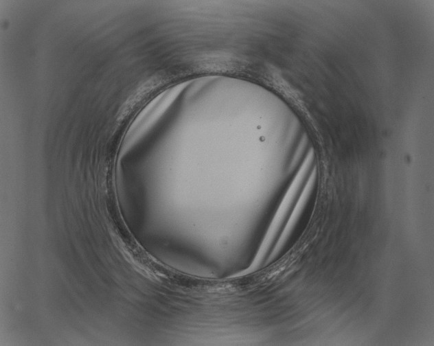 X0000065260106200603031839