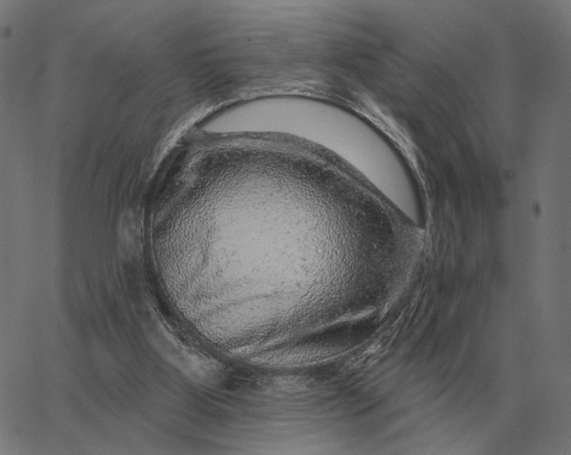 X0000065260107200603031838