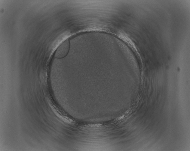 X0000065260108200603031838