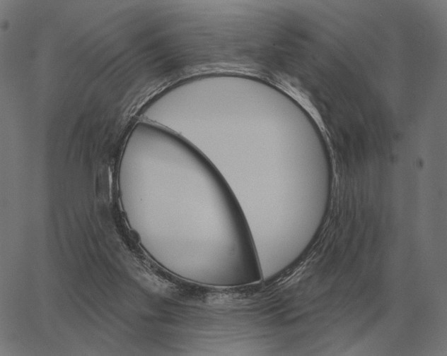 X0000065260109200603031838