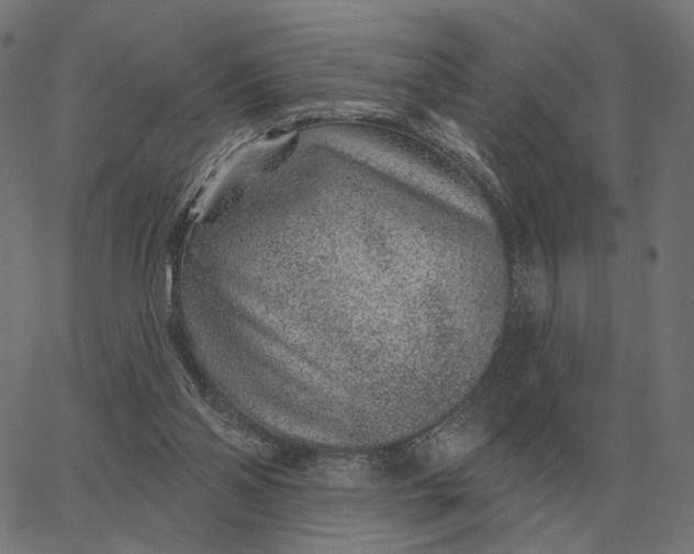 X0000065260110200603031838