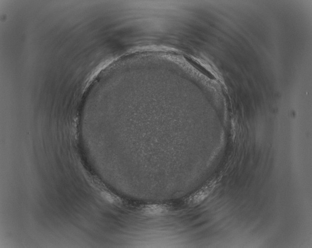 X0000065260111200603031838