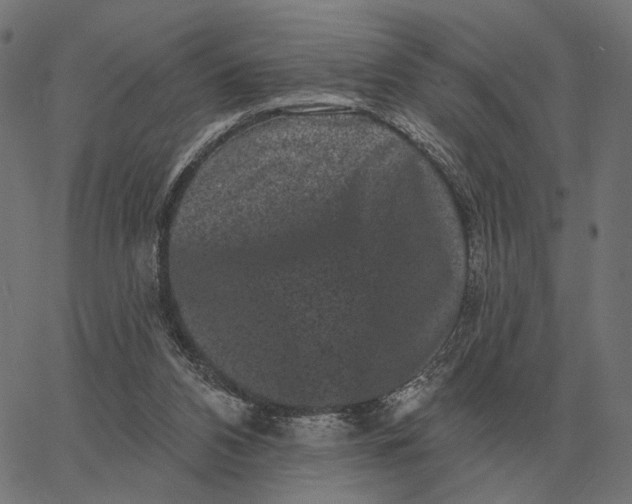 X0000065260112200603031838