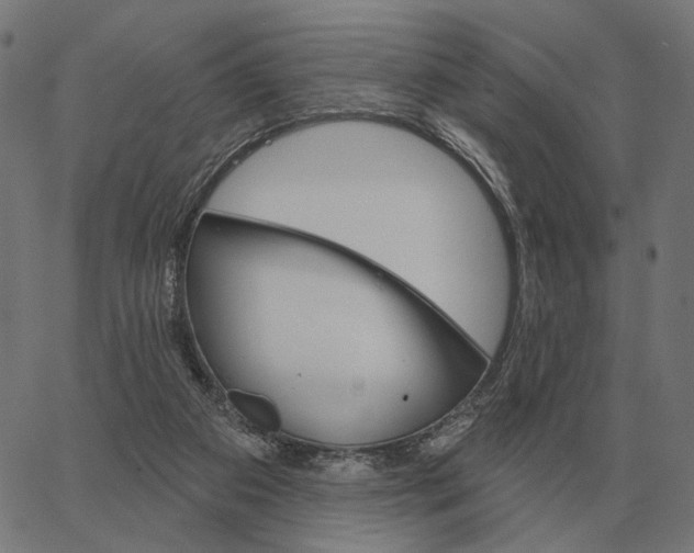 X0000065260113200603031838