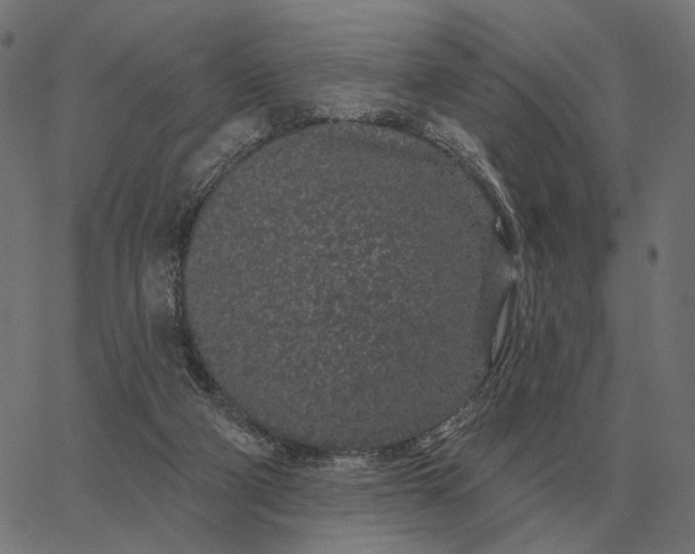 X0000065260114200603031838