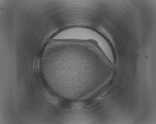 X0000065260115200603031838