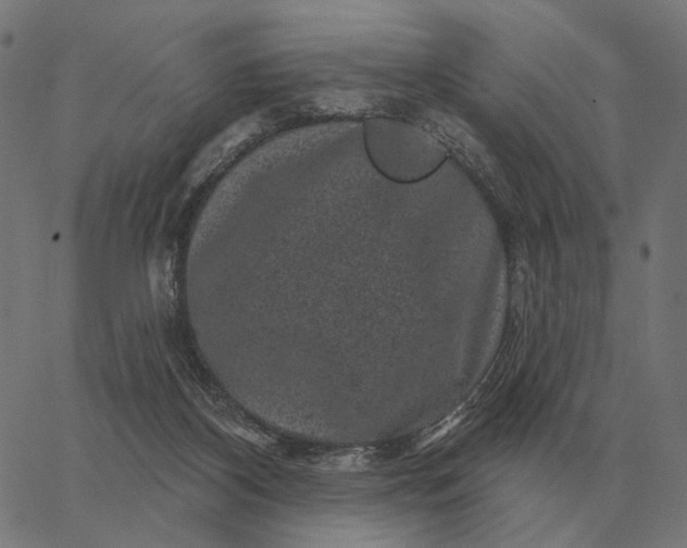 X0000065260116200603031838