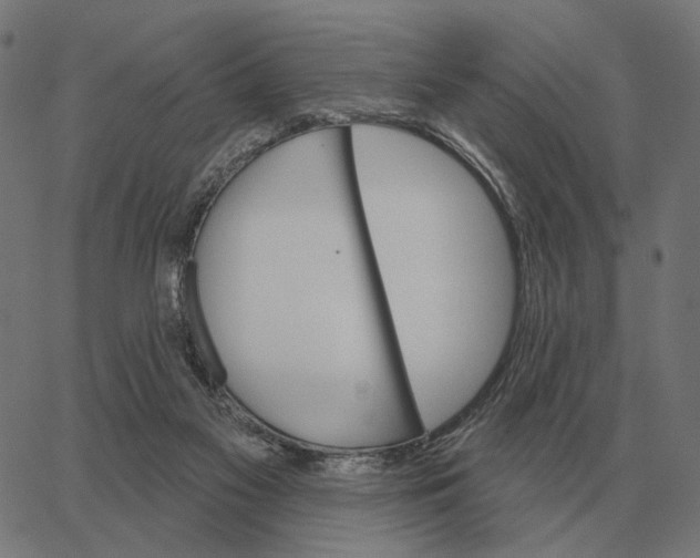 X0000065260117200603031838