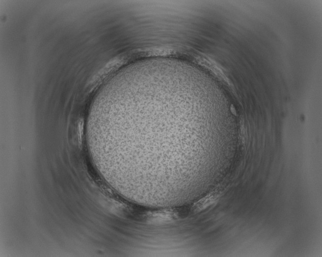 X0000065260118200603031838