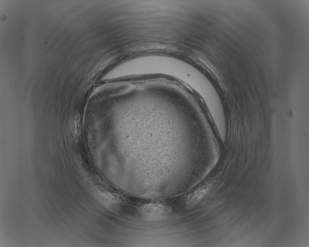 X0000065260119200603031838