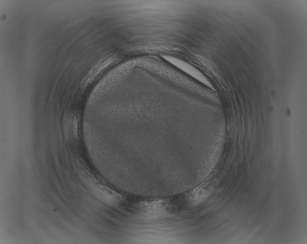 X0000065260120200603031838