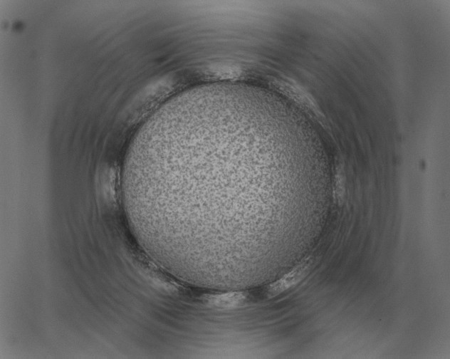 X0000065260122200603031838