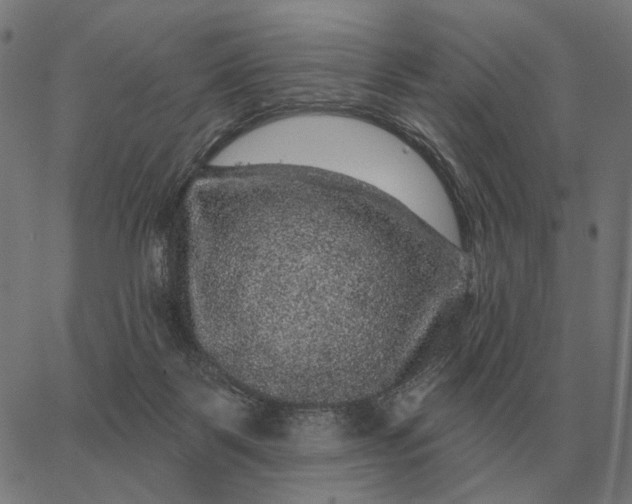 X0000065260123200603031838