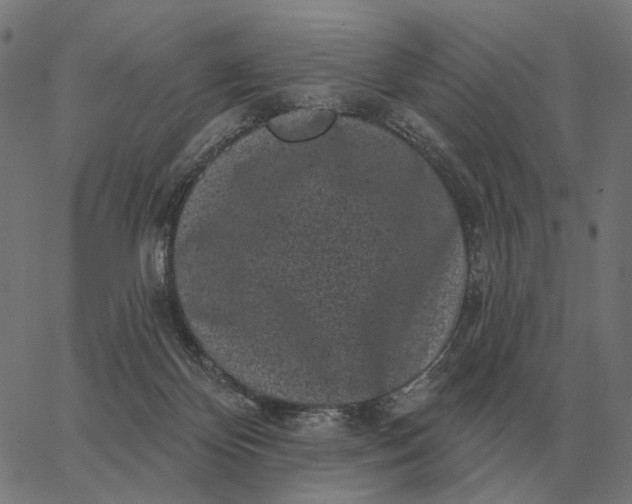 X0000065260124200603031838