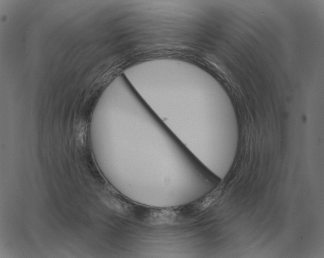 X0000065260125200603031838