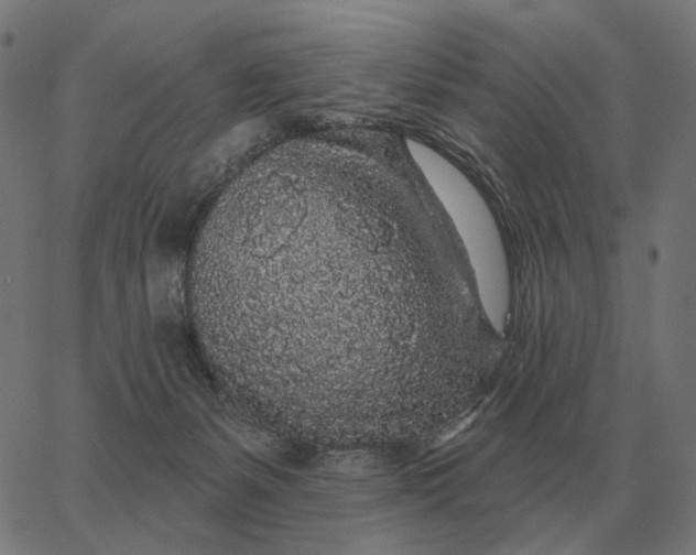 X0000065260127200603031838