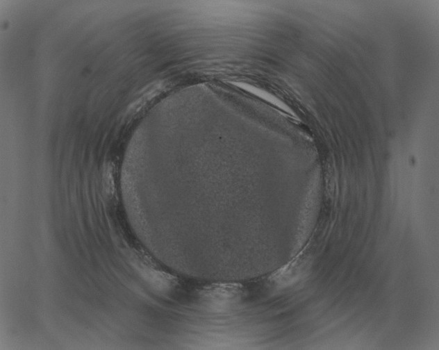 X0000065260128200603031838