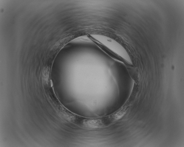 X0000065260129200603031838