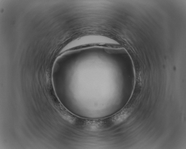 X0000065260131200603031838