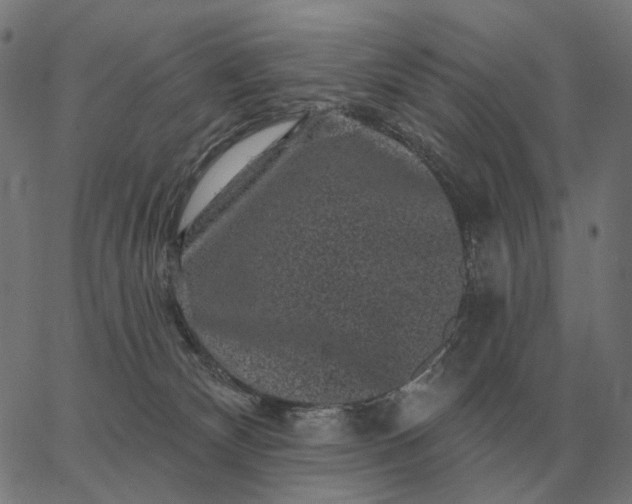 X0000065260132200603031838