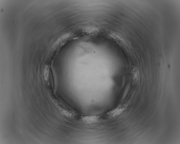 X0000065260133200603031838