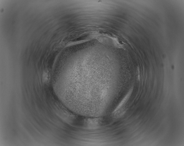 X0000065260134200603031838