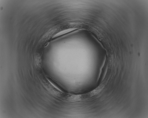 X0000065260138200603031838