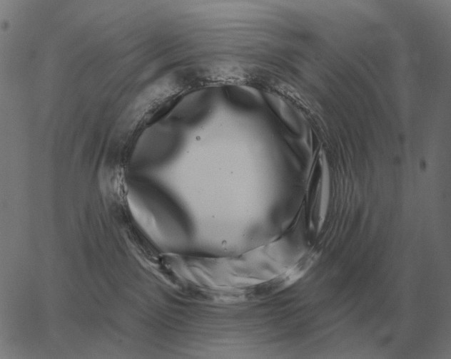 X0000065260141200603031838